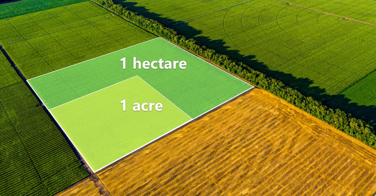 1 ha bang bao nhieu m2